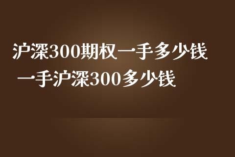 沪深300期权一手多少钱 一手沪深300多少钱_https://www.dglong8.com_期货理财_第1张