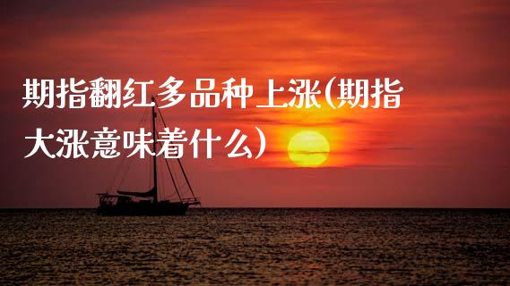 期指翻红多品种上涨(期指大涨意味着什么)