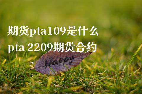 期货pta109是什么 pta 2209期货合约