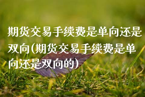 期货交易手续费是单向还是双向(期货交易手续费是单向还是双向的)