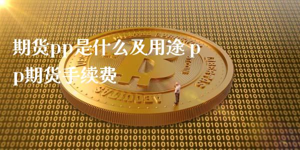 期货pp是什么及用途 pp期货手续费