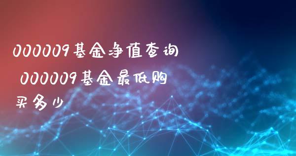 000009基金净值查询 000009基金最低购买多少