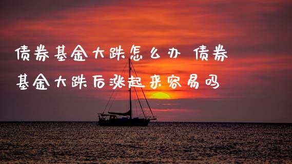 债券基金大跌怎么办 债券基金大跌后涨起来容易吗