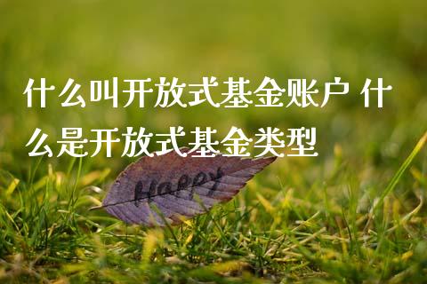 什么叫式基金账户 什么是式基金类型