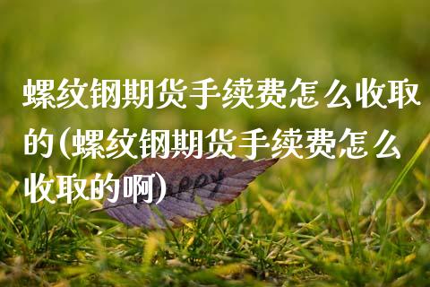 螺纹钢期货手续费怎么收取的(螺纹钢期货手续费怎么收取的啊)