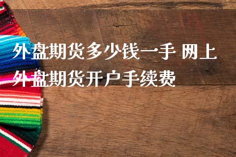 外盘期货多少钱一手 网上外盘期货开户手续费