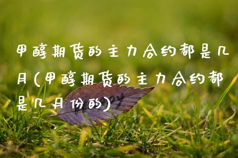 甲醇期货的主力合约都是几月(甲醇期货的主力合约都是几月份的)