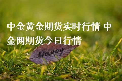 黄金期货实时行情 网期货今日行情