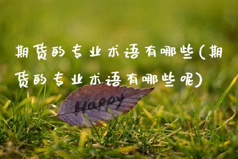 期货的专业术语有哪些(期货的专业术语有哪些呢)