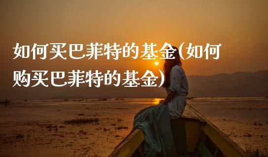 如何买巴菲特的基金(如何购买巴菲特的基金)