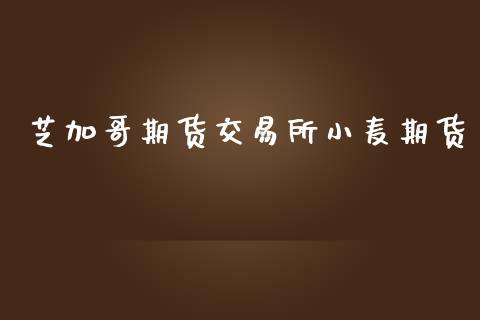 芝加哥期货交易所小麦期货