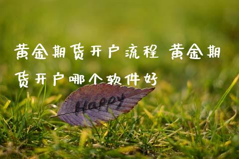 黄金期货开户流程 黄金期货开户哪个软件好