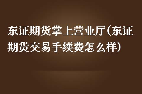 期货掌上营业厅(期货交易手续费怎么样)