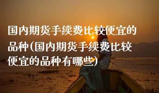 国内期货手续费比较便宜的品种(国内期货手续费比较便宜的品种有哪些)
