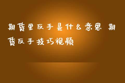 期货里反手是什么意思 期货反手技巧视频