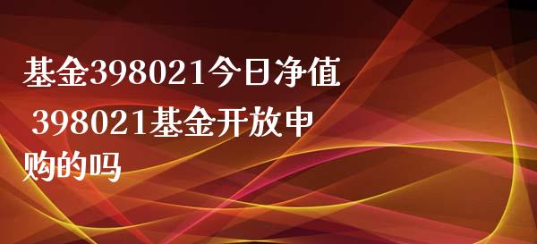 基金398021今日净值 398021基金申购的吗