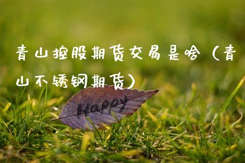 青山控股期货交易是啥（青山不锈钢期货）