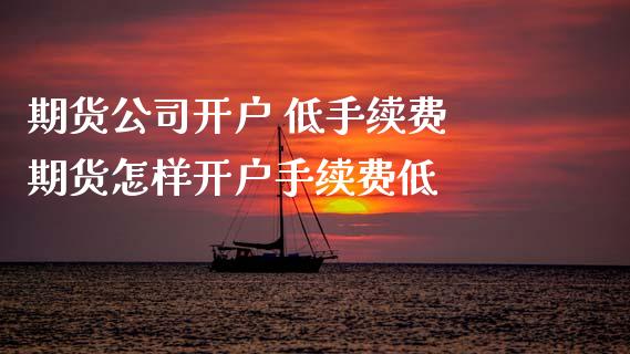 期货公司开户 低手续费 期货怎样开户手续费低