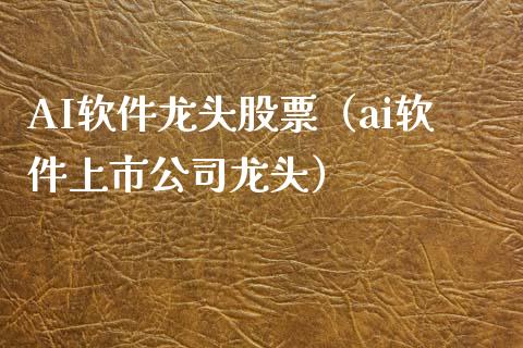 AI软件龙头股票（ai软件上市公司龙头）
