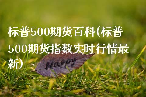 标普500期货百科(标普500期货指数实时行情最新)