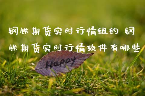 钢铁期货实时行情纽约 钢铁期货实时行情软件有哪些