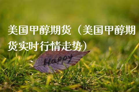 美国甲醇期货（美国甲醇期货实时行情走势）