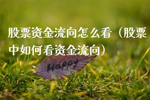 股票资金流向怎么看（股票中如何看资金流向）