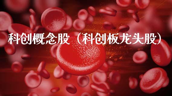 科创概念股（科创板龙头股）
