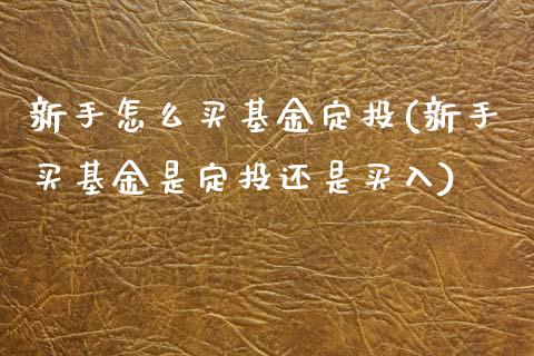 新手怎么买基金定投(新手买基金是定投还是买入)