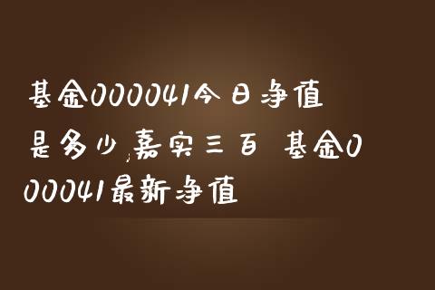 基金000041今日净值是多少,嘉实三百 基金000041最新净值