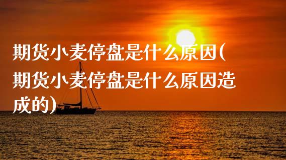 期货小麦停盘是什么原因(期货小麦停盘是什么原因造成的)