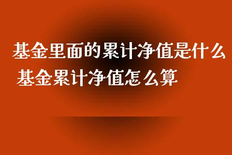 基金里面的累计净值是什么 基金累计净值怎么算_https://www.dglong8.com_基金理财_第1张