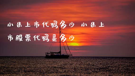 小米上市代码多少 小米上市股票代码是多少_https://www.dglong8.com_股票理财_第1张