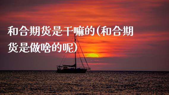 和合期货是(和合期货是做啥的呢)