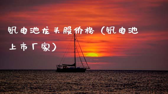钒电池龙头股价格（钒电池上市厂家）