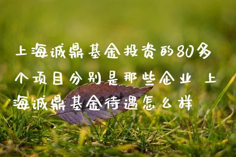 上海诚鼎基资的80多个项目分别是那些企业 上海诚鼎基金待遇怎么样_基金理财_第1张_宇龙理财网 上海诚鼎基资的80多个项目分别是那些企业 上海诚鼎基金待遇怎么样_https://www.dglong8.com_基金理财_第1张