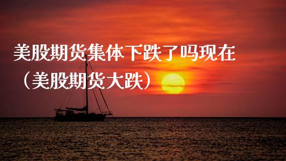 美股期货集体下跌了吗现在（美股期货大跌）