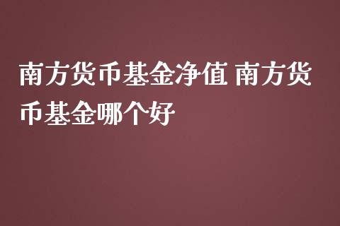 南方货币基金净值 南方货币基金哪个好