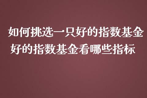 如何挑选一只好的指数基金 好的指数基金看哪些指标