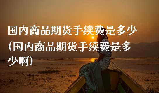 国内商品期货手续费是多少(国内商品期货手续费是多少啊)