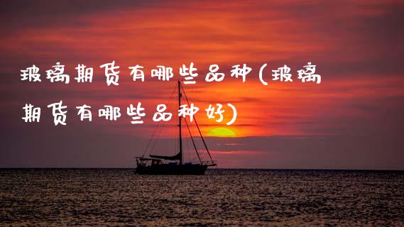 玻璃期货有哪些品种(玻璃期货有哪些品种好)