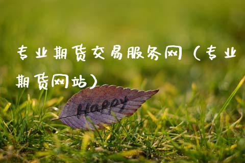 专业期货交易服务网（专业期货网站）