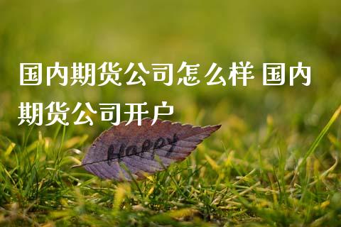 国内期货公司怎么样 国内期货公司开户