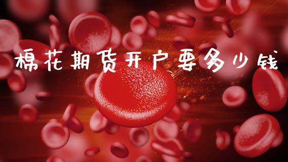 棉花期货开户要多少钱