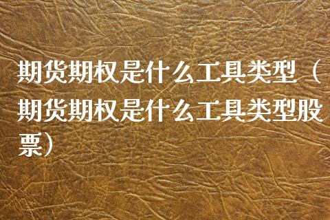 期货期权是什么工具类型（期货期权是什么工具类型股票）
