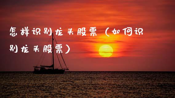 怎样识别龙头股票（如何识别龙头股票）