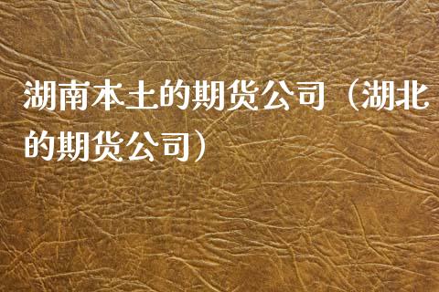 湖南本土的期货公司（湖北的期货公司）