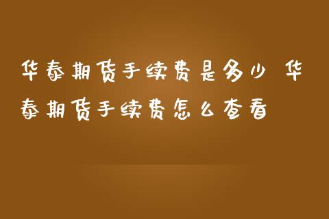 期货手续费是多少 期货手续费怎么查看