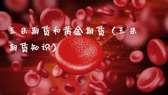 玉米期货和黄金期货（玉米期货知识）