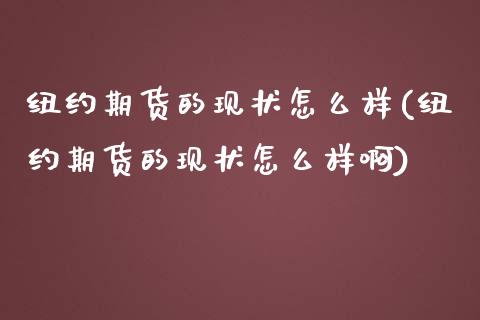 纽约期货的现状怎么样(纽约期货的现状怎么样啊)